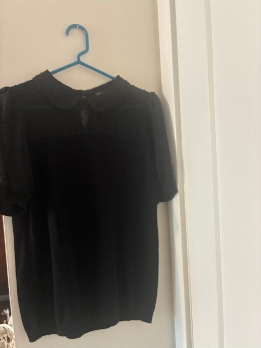 Adrianna Papell Black Short-Sleeve Blouse with Peter Pan Collar